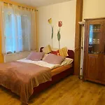 Alba Apartment Zelezna Ruda