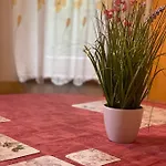 Alba * Železná Ruda