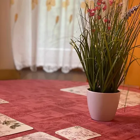 Alba * Železná Ruda