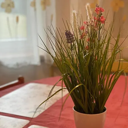 Apartment Alba *