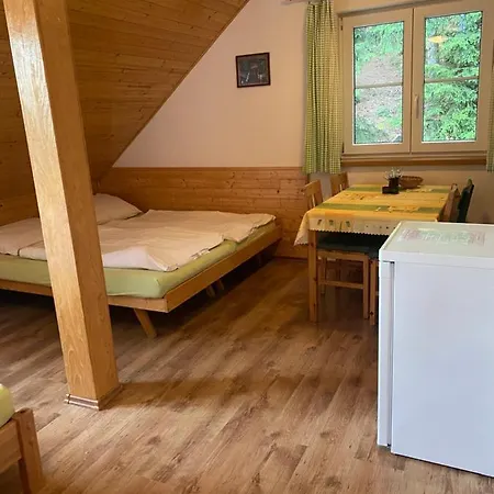 Alba Apartment Zelezna Ruda