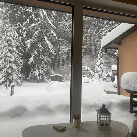 Apartment Alba Zelezna Ruda