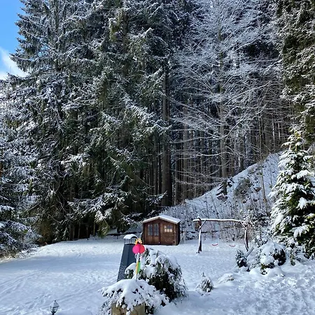 Alba Železná Ruda