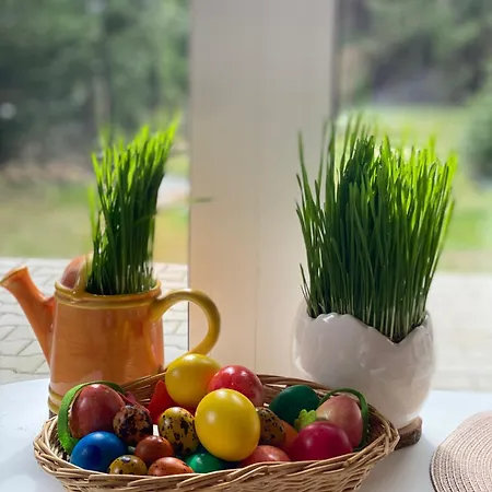 Alba * Železná Ruda