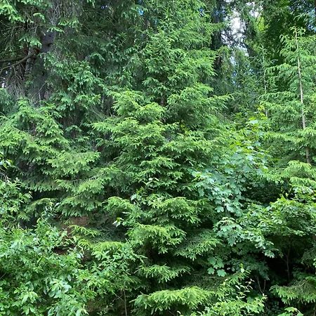 Apartamento Alba Železná Ruda