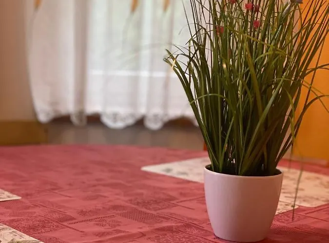 Alba * Železná Ruda