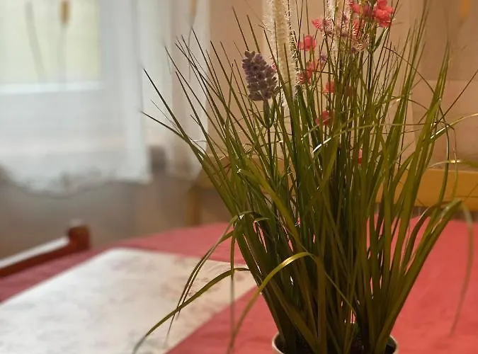 Appartement Alba *