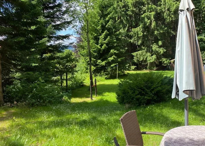 Alba Appartement Železná Ruda